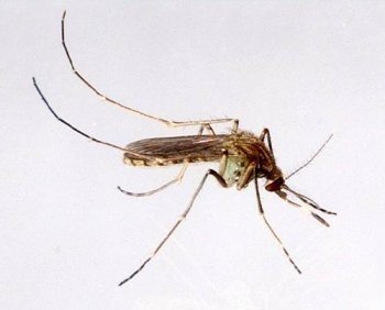 출처= 동아일보DB