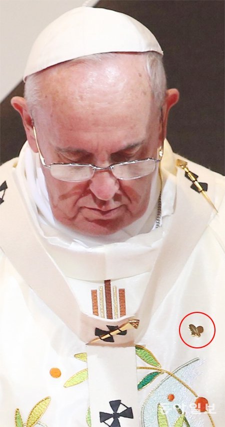 18일 서울 명동대성당에서 미사를 집전하는 프란치스코 교황의 왼쪽 가슴에 ‘희망나비’ 브로치(빨간원 안)가 달려 있다. 신원건 기자 laputa@donga.com