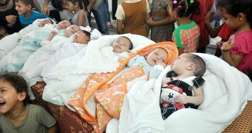 최근 팔레스타인 가자지구 유엔 난민대피소에서 태어난 팔레스타인인 아기 7명이 담요 속에서 잠을 자고 있다. 사진 출처 데일리메일