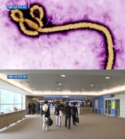 에볼라 바이러스, 사진 = 채널A 뉴스 화면 촬영
