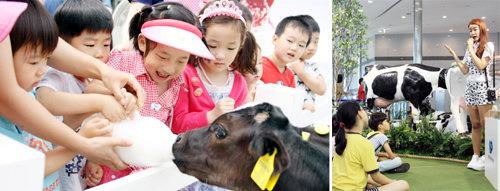 우유자조금관리위원회가 신촌의 한 광장에서 개최한 ‘도심 속 목장나들이 체험 행사’(왼쪽)와 우유과학교실의 한 장면(오른쪽).