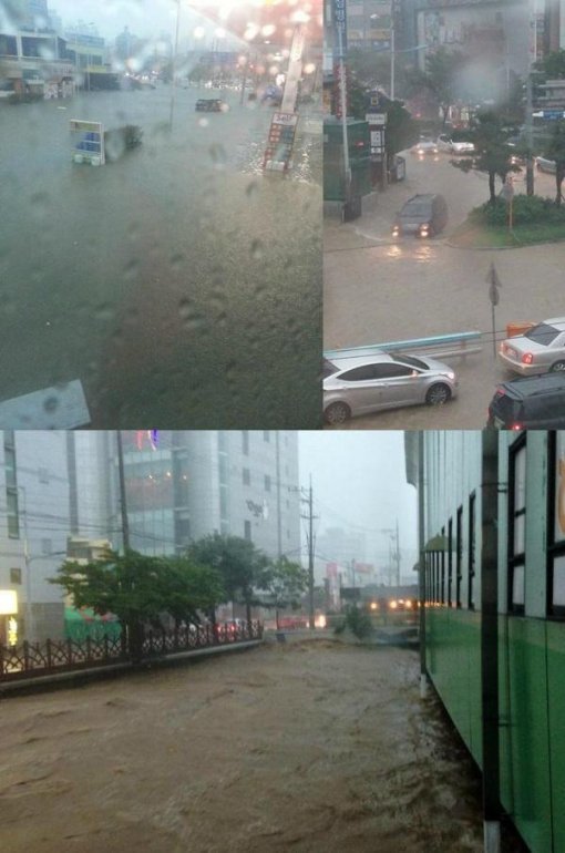 사진=부산경찰 트위터