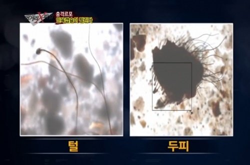 사진=채널A '먹거리X파일' 캡처