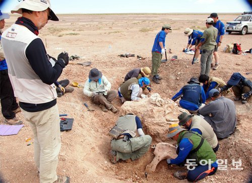 몽골 남동부 고비사막에서 국제공룡탐사대가 9000만 년 전 목긴공룡 화석을 발굴하고 있다. 왼쪽은 한국 탐사대를 이끈 이융남 한국지질자원연구원 지질박물관장. 몽골=윤신영 동아사이언스 기자 ashilla@donga.com