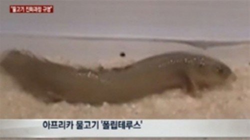 사진=뉴스Y 방송캡처