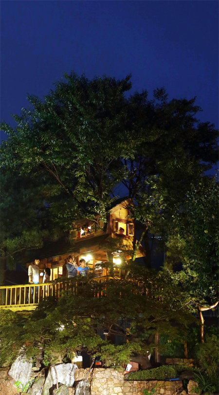 경기 광주시 오포읍 신현리에 사는 5남매의 아버지가 자녀들의 소중한 꿈을 이뤄주기 위해 집 옆 뜨락에 손수 만든 트리하우스.