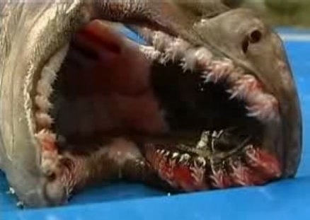 출처= 유튜브 화면 갈무리