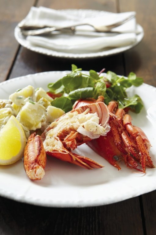 Lobster with salad and lemons