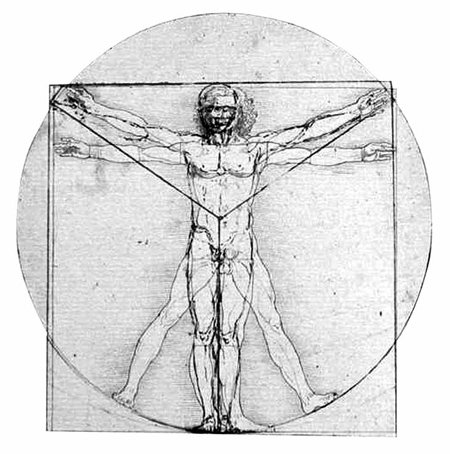 비트루비우스의 ‘건축십서’ 원본에는 삽화가 없다. 15세기 이탈리아의 자코모 안드레아 다 페라라의 ‘건축십서’ 필사본에 나오는 인체비례도는 레오나르도 다빈치의 그림과 거의 일치한다. 뿌리와 이파리 제공