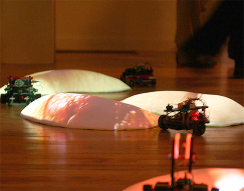 김현주 씨의 ‘로봇 공생’. 똑같은 외형의 로봇 5대가 상이한 움직임의 ‘인격’을 보여준다.