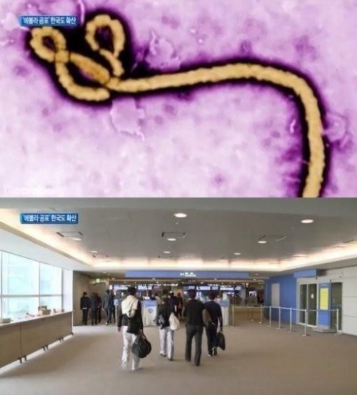 유럽 첫 에볼라 감염