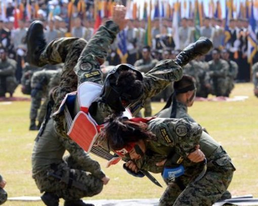 건군 제66주년 국군의 날 기념식이 1일 계룡대에서 열린 가운데 특전사 요원들이 합동특공무술 시범을 선보이고 있다. 청와대사진기자단