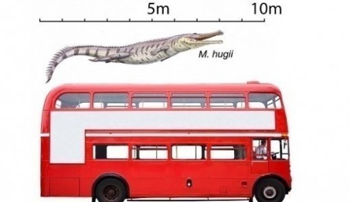 이층버스 크기 고대 악어(출처=미국 디스커버리 뉴스)