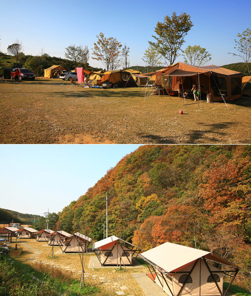 연천 고대산 캠핑 리조트 글램핑·김포 매화미르마을 캠핑장
