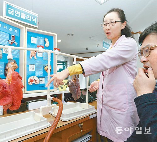 금연상담사가 금연클리닉에 참가한 흡연자에게 건강한 폐와 흡연자의 폐를 비교하며 폐질환에 대해 설명하고있다. 정부가 건강 예방 투자를 늘리지 않으면 미래 노인 의료비를 감당하지 못할 것이라는 우려가 나온다. 동아일보DB