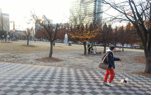 사유지인 대전 중구 문화동 서대전시민공원 매입을 둘러싸고 대전시와 토지 소유주 간 수백억 원대의 소송전이 예고돼 시민들의 관심이 뜨겁다. 공원에서 시민들이 산책과 운동을 즐기고 있는 모습. 이기진 기자 doyoce@donga.com