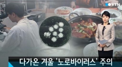 노로바이러스 증상 (사진= YTN 화면 갈무리)