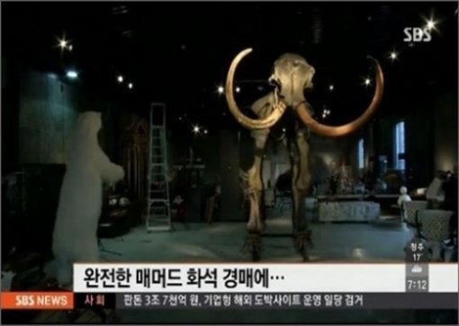 30만 달러 매머드 화석(사진=SBS).