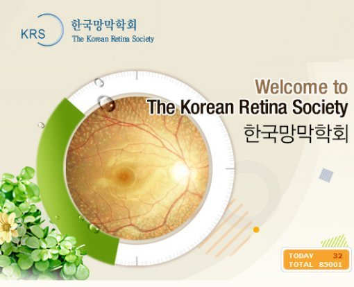 사진｜한국망막학회 홈페이지