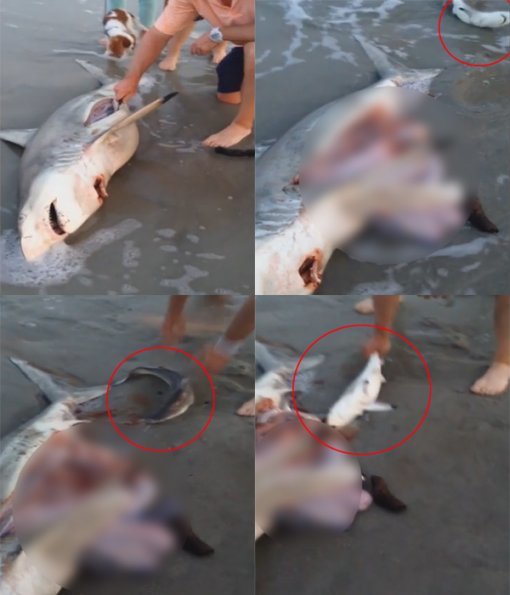 (사진=유튜브 영상 캡처)