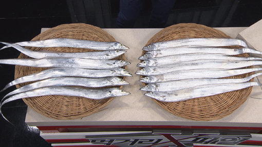 사진제공｜채널A