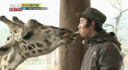 아프리카 기린 멸종 위기. 출처= 방송 갈무리