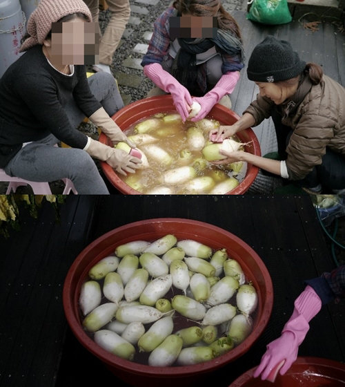 이효리 블로그 사진= 이효리 블로그