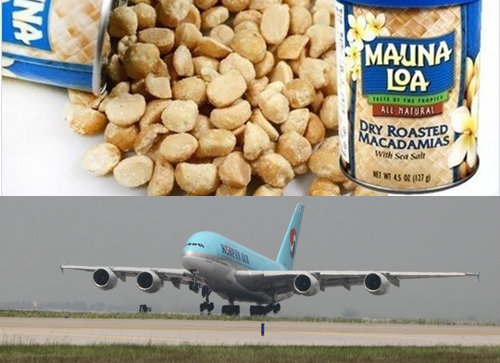 사진=G마켓/대한항공