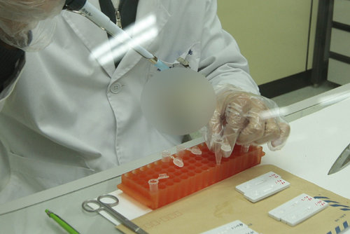 팔달산 유력 용의자 검거. 사진=동아일보 DB