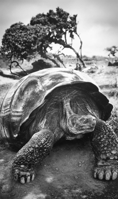 2004? ???? ????? ?? ?photo by Sebasti?o Salgado / Amazonas images