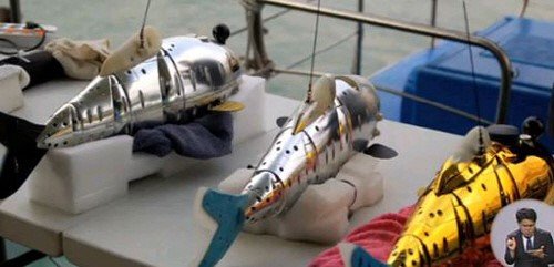 4대강 로봇 물고기