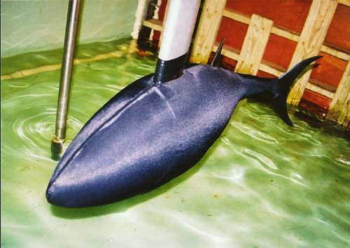 세계 최초의 물고기 로봇인 미국의 ‘로봇튜나’. 사진=동아일보DB<기사와무관>