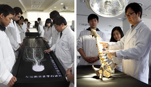 실용해부센터 해부학 실습하는 모습(왼쪽)과 가상해부대 척추모형(오른쪽). 고려대의대 제공