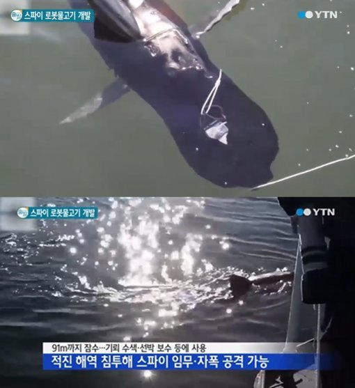 90m 잠수 로봇 물고기. 사진 = YTN 뉴스 화면 촬영