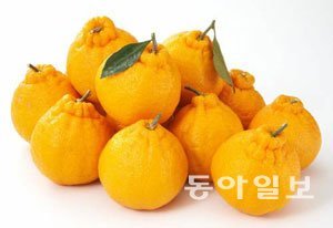 동아일보 자료 사진.