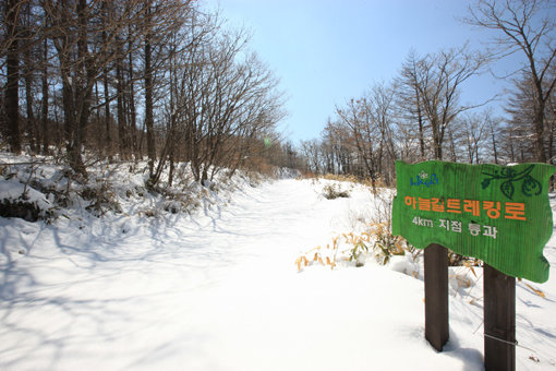 하늘길 중간에 있는 마운틴탑. 사진제공｜하이원 리조트