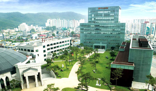 대구보건대 제공