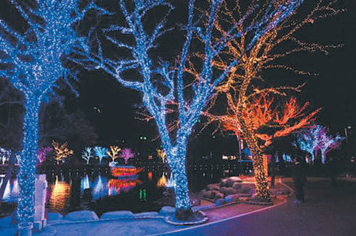 전남 여수시 돌산공원 일대 빛노리야 축제장이 화려한 경관조명으로 꾸며졌다. 여수시 제공