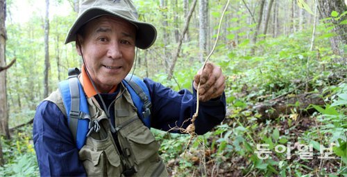 한 심마니가 자신이 캐낸 산삼을 들어 보이고 있다. 요즘에는 예전의 금기사항을 따르지 않는다. 동아일보DB