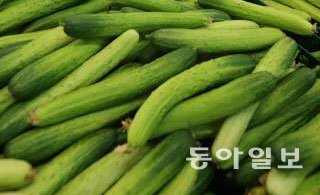 동아일보 자료 사진.