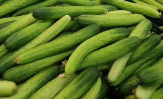 동아일보 자료 사진.