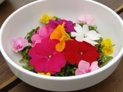 ‘어려 보이게 만드는 식품’