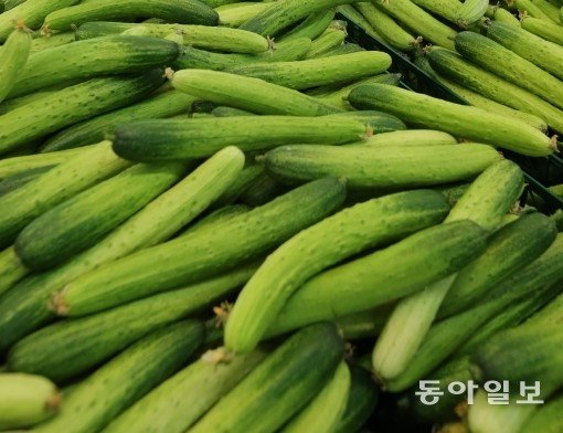 어려 보이게 만드는 식품