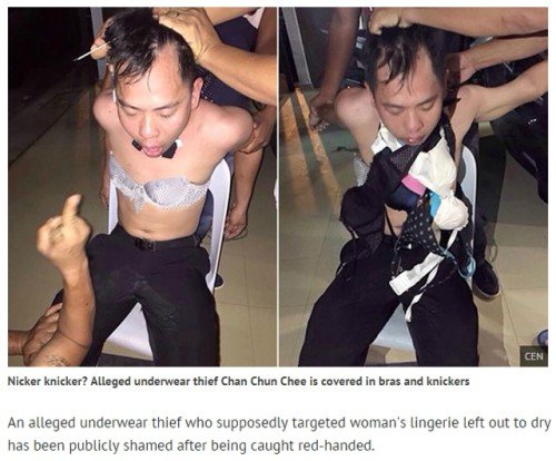 사진=미러