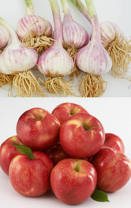 간을 지키는 5가지 식품. 사진=동아일보DB