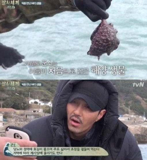 사진 =  tvN 예능 프로그램 '삼시세끼 어촌편'