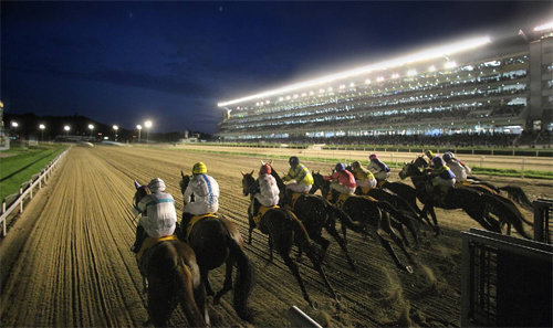 한여름 야간 경마에 출전한 경주마들이 힘차게 주로를 달리고 있다. 다음 달부터는 ‘2015년 경마시행계획’에 따라 국산 말과 외국산 말이 함께 뛰는 산지 통합 경주가 확대된다. 한국마사회 제공