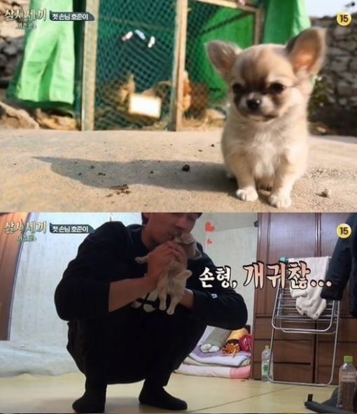 사진= tvN ‘삼시세끼-어촌편’ 방송화면 캡쳐