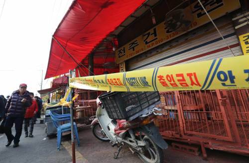 개에서 AI 바이러스 검출. 사진=동아일보DB