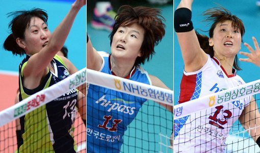 V리그 정상을 향해 달리고 있는 현대건설 김세영, 도로공사 장소연, 정대영(왼쪽부터)은 모두 30대 중반 이상 노장이지만 아이를 키우는 어머니들로 코트에서 투혼을 펼치고 있다. 스포츠동아DB